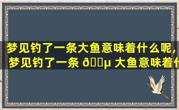 梦见钓了一条大鱼意味着什么呢,梦见钓了一条 🌵 大鱼意味着什么呢周公解梦